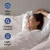 imageAir Mattress Sheet Set for Queen Size  4 Piece Breathable ampamp Cooling Sheets w Extra Deep Pockets  Fits Inflatable ampamp Blow Up Air Mattresses Up to 24 Inches Thick  Ultra Soft ampamp Wrinkle Free  White02  Light Grey