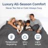 imageFull Comforter Set  3 Piece Bed Set for All Seasons  1 Soft Quilted Comforter w Corner Tabs ampamp 2 Pillow Shams  Comfy Cozy ampamp Breathable  Premium Down Duvet Insert  OekoTEX  Full Size Dark GreyDark Grey