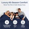 imageFull Comforter Set  3 Piece Bed Set for All Seasons  1 Soft Quilted Comforter w Corner Tabs ampamp 2 Pillow Shams  Comfy Cozy ampamp Breathable  Premium Down Duvet Insert  OekoTEX  Full Size Dark GreyNavy Blue
