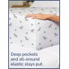 imageKids Baseball Queen 4 Piece Sheet Set  Boys Girls Teens Toddler  Easy Fit Deep Pockets  Breathable Hotel Quality Bedding Sheets  Machine Washable  Wrinkle Free  Cute Cozy Soft  CGK Linens23  Zebras