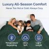 imageTwin Size Navy Blue Alternative Down Comforter  Warm Lightweight Luxury and Breathable Hotel Quality Bedding Set  All Season Fluffy and Cozy Oversized Cooling Microfiber Duvet Insert Comforter12  EmeraldLight Sage Green
