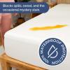 imageWaterproof Mattress Protector Queen Size  Premium Fitted Terry Cover  Noiseless Soft Cooling ampamp Breathable  Secure Fit up to 16 Deep Pockets  Durable Machine Washable and WrinkleFree  WhiteWhite