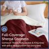 imageChristmas Sherpa Blanket Throw Size  Reversible Sherpa Fleece Blanket  Super Soft Double Sided Throw for Bed Sofa Couch  Thick Warm Cozy ampamp Plush  Xmas Winter Bedding  Christmas Trees 50x6014  Burgundy