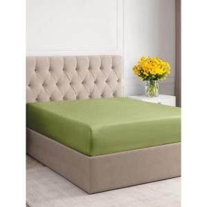 imageCGK Unlimited Twin Size Fitted Bed Sheet Hotel Luxury Fits Mattress Up to 16quot Soft Breathable Sheet for Women Men Kids ampamp Teen Light Olive Green Single29  Light Olive Green