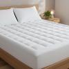imageMattress Pad Queen Size  Quilted Fitted Mattress Protector  Cotton Pillow Top Cover w 816quot Deep Pockets  Thick Comfy ampamp Plush  Cooling Breathable ampamp Noiseless  Machine Washable  60 x 80WhiteWhite