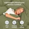 imageQueen Pillow Cases Set of 4  Ultra Soft Hotel Quality Pillowcase Covers  Comfy Cozy ampamp Wrinkle Free  Shrink Stain ampamp Fade Resistant  Machine Washable Pillow Protectors  4 Piece Set  Terracotta30  Sage Green