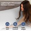 imageQueen Pillow Cases Set of 4  Ultra Soft Hotel Quality Pillowcase Covers  Comfy Cozy ampamp Wrinkle Free  Shrink Stain ampamp Fade Resistant  Machine Washable Pillow Protectors  4 Piece Set  Terracotta43  Grey Stripes 2