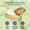 imageQueen Pillow Cases Set of 4  Ultra Soft Hotel Quality Pillowcase Covers  Comfy Cozy ampamp Wrinkle Free  Shrink Stain ampamp Fade Resistant  Machine Washable Pillow Protectors  4 Piece Set  Terracotta29  Light Sage Green