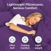 imageQueen Pillow Cases Set of 4  Ultra Soft Hotel Quality Pillowcase Covers  Comfy Cozy ampamp Wrinkle Free  Shrink Stain ampamp Fade Resistant  Machine Washable Pillow Protectors  4 Piece Set  Terracotta37  Purple