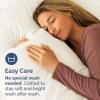imageQueen Pillow Cases Set of 4  Ultra Soft Hotel Quality Pillowcase Covers  Comfy Cozy ampamp Wrinkle Free  Shrink Stain ampamp Fade Resistant  Machine Washable Pillow Protectors  4 Piece Set  Terracotta09  Off White