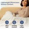 imageQueen Pillow Cases Set of 4  Ultra Soft Hotel Quality Pillowcase Covers  Comfy Cozy ampamp Wrinkle Free  Shrink Stain ampamp Fade Resistant  Machine Washable Pillow Protectors  4 Piece Set  Terracotta42  Beige Stripes 2